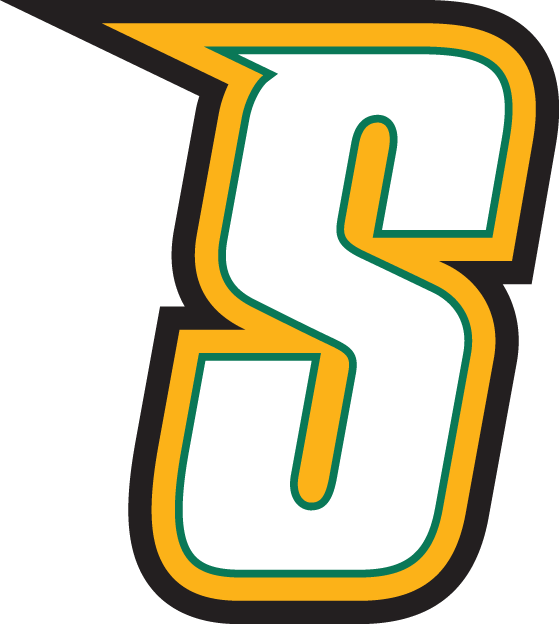 Siena Saints 2001-Pres Alternate Logo v5 DIY iron on transfer (heat transfer)
